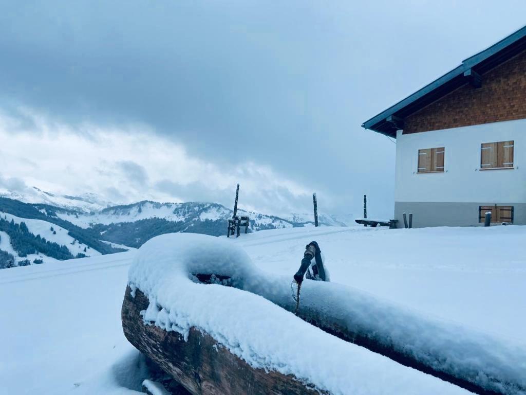 Apartment Gemütliche Bergwiese, 2-raum, Separates Schlafzimmer, Schönen Balkon Oder Terrasse, Komfort Ausstattung, Ruhige Lage, Kostenfrei Wlan, Sauna Im Landhaus, Brötchenservice, Parkplatz Kostenfrei, Hunde Auf Anfrage, Tankstelle Für E-autos Balderschwang